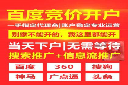 从小白到高手：网站sem托管的进化之路